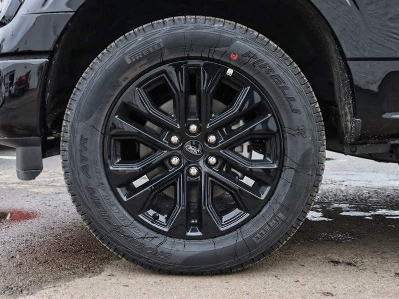 2026 Ford F-150 XLT | 4X4 | 3.5L | 302A | BLK PK PLS | BED UTL