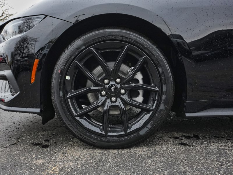 2026 Ford Mustang EcoBoost | 2.3L | 100A | AUTO | NITE PONY PKG