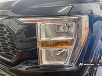 2022 Ford F-150 XL 4WD SuperCrew 5.5' Box