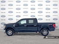 2023 Ford F-150 XLT 4WD SuperCrew 5.5' Box