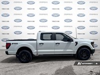 2024 Ford F-150 STX 4WD SuperCrew 5.5' Box
