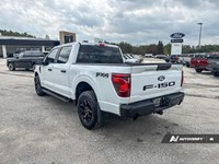 2024 Ford F-150 STX 4WD SuperCrew 5.5' Box