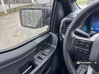2024 Ford F-150 XLT 4WD SuperCrew 5.5' Box