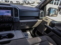 2020 Ford F-150 XLT 4WD SuperCrew 5.5' Box