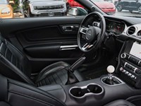 2019 Ford Mustang NO ACCIDENTS | 480 HORSEPOWER | 6 SPEED MANUAL