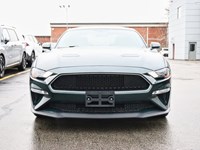 2019 Ford Mustang NO ACCIDENTS | 480 HORSEPOWER | 6 SPEED MANUAL