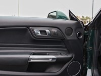 2019 Ford Mustang NO ACCIDENTS | 480 HORSEPOWER | 6 SPEED MANUAL