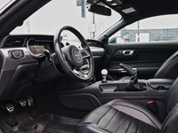 2019 Ford Mustang NO ACCIDENTS | 480 HORSEPOWER | 6 SPEED MANUAL