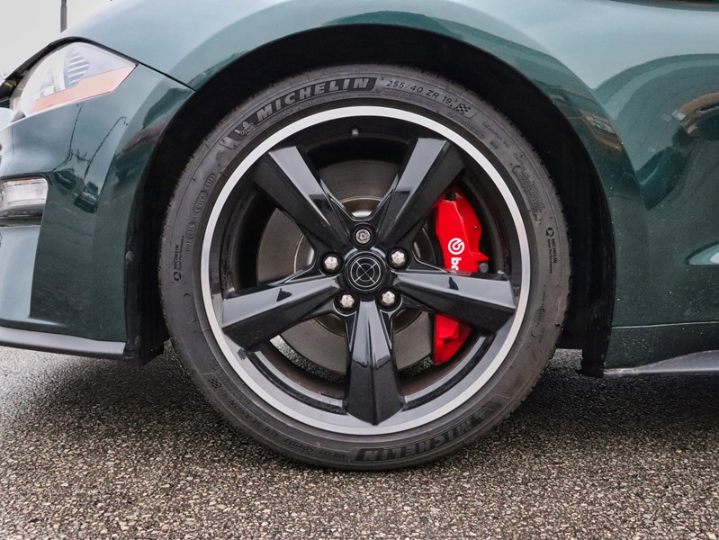 2019 Ford Mustang NO ACCIDENTS | 480 HORSEPOWER | 6 SPEED MANUAL