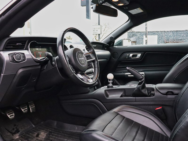2019 Ford Mustang NO ACCIDENTS | 480 HORSEPOWER | 6 SPEED MANUAL