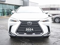 2024 Lexus NX 350h 350h Base