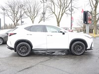 2024 Lexus NX 350h 350h Base