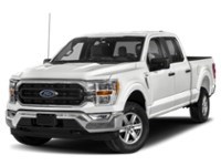 2023 Ford F-150 XLT 4WD SuperCrew 5.5' Box Exterior Shot 1