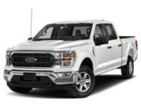 2022 Ford F-150 XLT 2WD SuperCrew 5.5' Box Exterior Shot 1