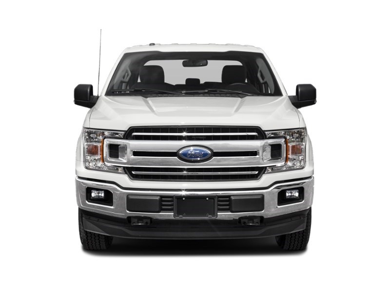 2020 Ford F-150 XLT 4WD SuperCrew 5.5' Box Exterior Shot 6