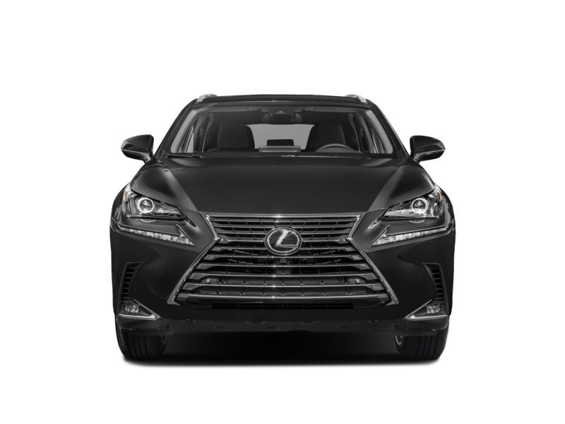 2021 Lexus NX 300 NX 300 AWD Exterior Shot 6