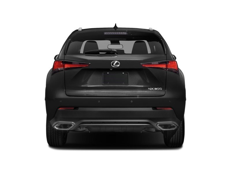 2021 Lexus NX 300 NX 300 AWD Exterior Shot 8