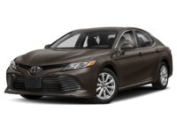 2019 Toyota Camry LE Auto Exterior Shot 1