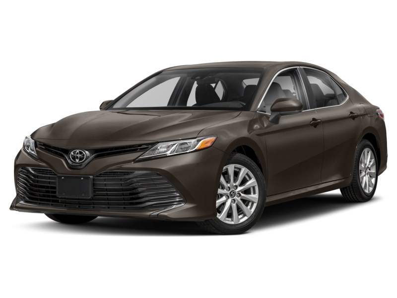 2019 Toyota Camry LE Auto Exterior Shot 1