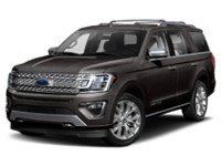 2020 Ford Expedition Platinum 4x4 Exterior Shot 1