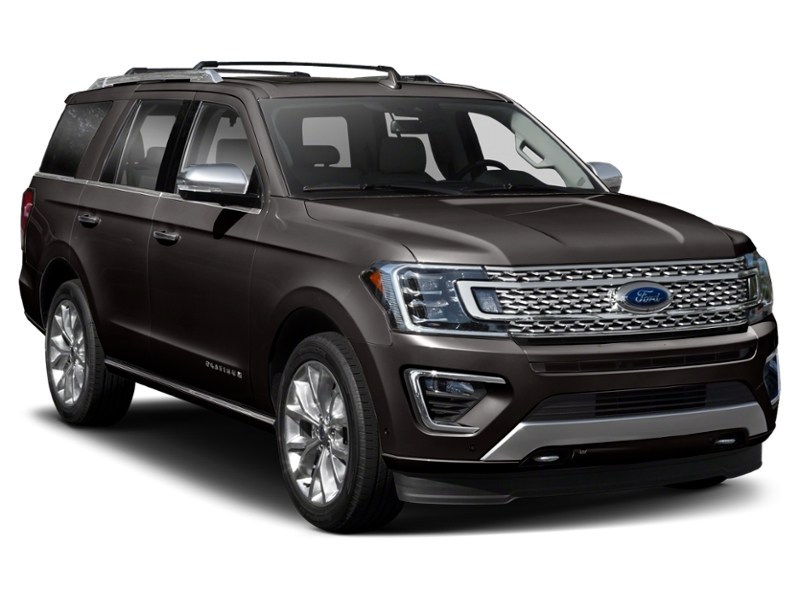 2020 Ford Expedition Platinum 4x4 Exterior Shot 8
