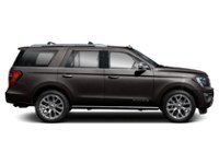 2020 Ford Expedition Platinum 4x4 Exterior Shot 10