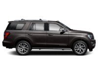 2020 Ford Expedition Platinum 4x4 Exterior Shot 10