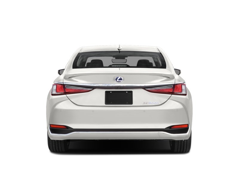 2020 Lexus ES 300h ES 300h Premium Auto Exterior Shot 7