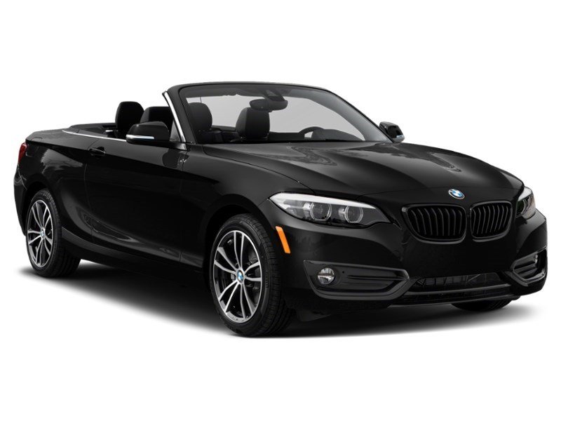 2021 BMW 230 230i xDrive Cabriolet Exterior Shot 8
