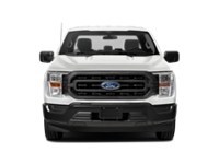 2022 Ford F-150 XLT | 4X4 | 3.3L | TOW | RUN BRDS | TLGT STEP Exterior Shot 5
