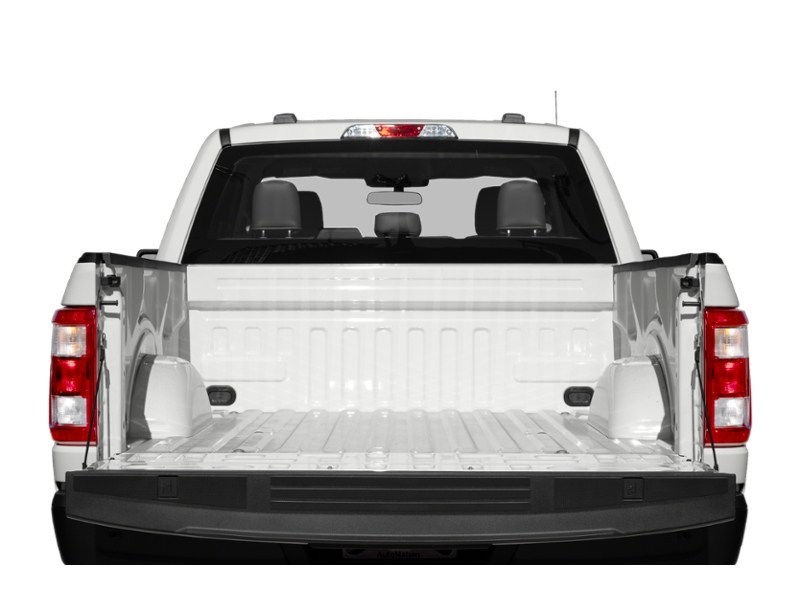 2022 Ford F-150 XLT | 4X4 | 3.3L | TOW | RUN BRDS | TLGT STEP Exterior Shot 4