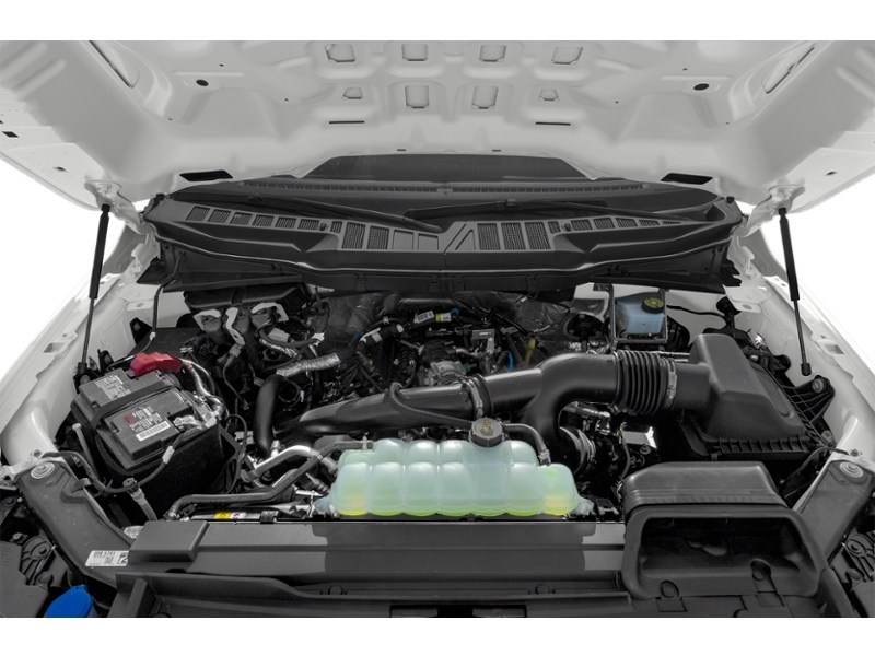 2022 Ford F-150 XLT | 4X4 | 3.3L | TOW | RUN BRDS | TLGT STEP Exterior Shot 3