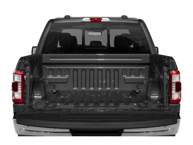 2022 Ford F-150 LARIAT | 4X4 | 5.0L | 502A | ROOF | 360 | PWR TLGT Exterior Shot 4