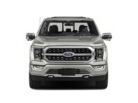 2023 Ford F-150 Platinum 4WD SuperCrew 5.5' Box Exterior Shot 5
