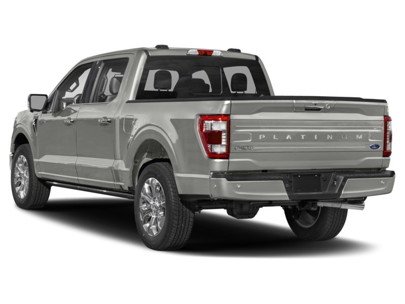2023 Ford F-150 Platinum 4WD SuperCrew 5.5' Box Exterior Shot 9