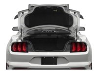 2022 Ford Mustang Mach 1 Fastback Exterior Shot 4
