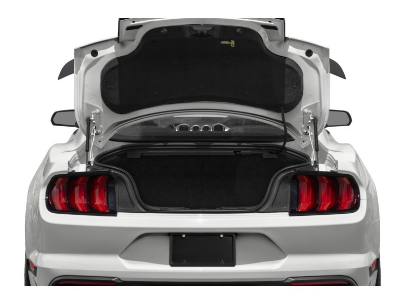 2022 Ford Mustang Mach 1 Fastback Exterior Shot 4