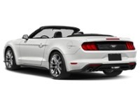 2022 Ford Mustang EcoBoost Convertible Exterior Shot 9