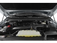 2023 Ford Expedition XLT 4x4 Exterior Shot 3