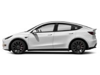2023 Tesla Model Y Performance AWD Exterior Shot 6