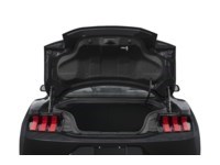 2026 Ford Mustang EcoBoost Fastback Exterior Shot 4