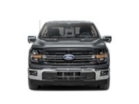 2025 Ford F-150 XLT 4WD SuperCrew 5.5' Box Exterior Shot 5