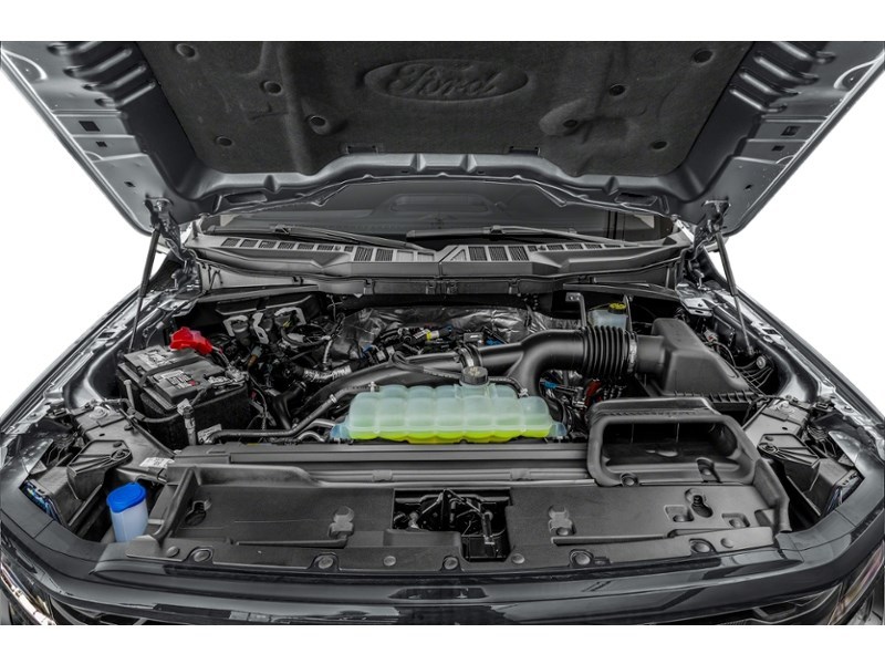 2024 Ford F-150 XLT 4WD SuperCrew 5.5' Box Exterior Shot 3