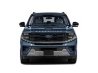 2025 Ford Expedition Platinum 4x4 Exterior Shot 5