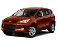 2014 Ford Escape FWD 4dr SE Sunset  Shot 16
