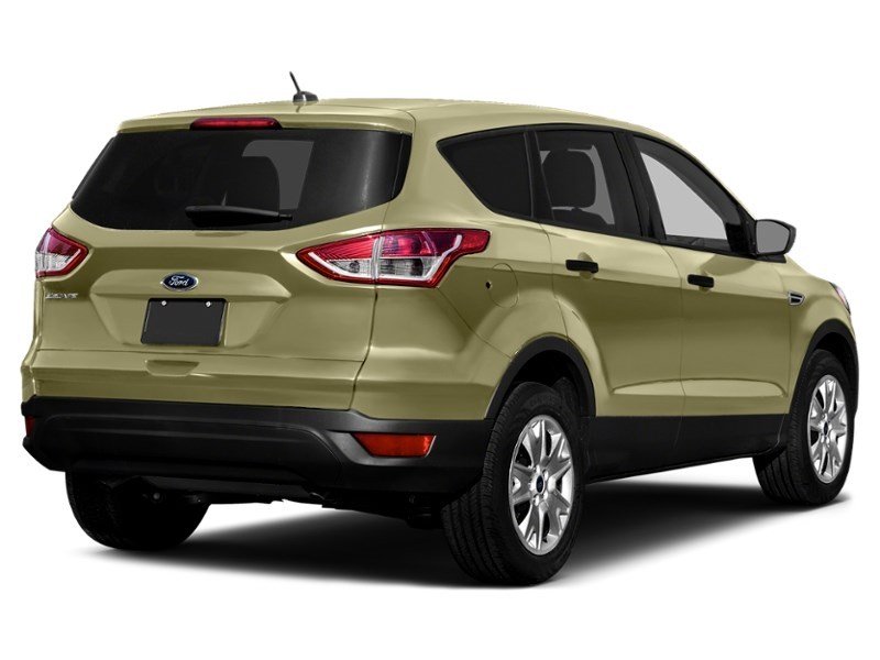 2013 Ford Escape 4WD 4dr SEL Ginger Ale Metallic  Shot 20
