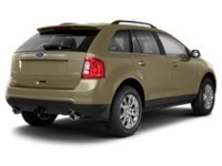 2013 Ford Edge 4dr SEL FWD Ginger Ale Metallic  Shot 20