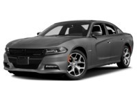 2017 Dodge Charger 4dr Sdn R/T Daytona Edition RWD Destroyer Grey  Shot 1