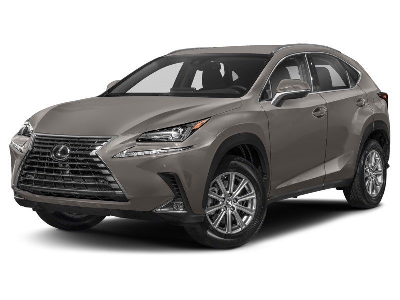 2021 Lexus NX 300 NX 300 AWD Atomic Silver  Shot 17