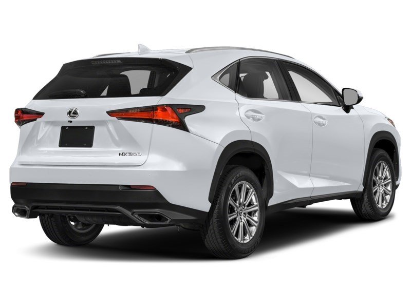 2021 Lexus NX 300 NX 300 AWD Ultra White  Shot 25